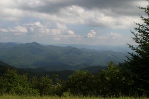 copywright protected